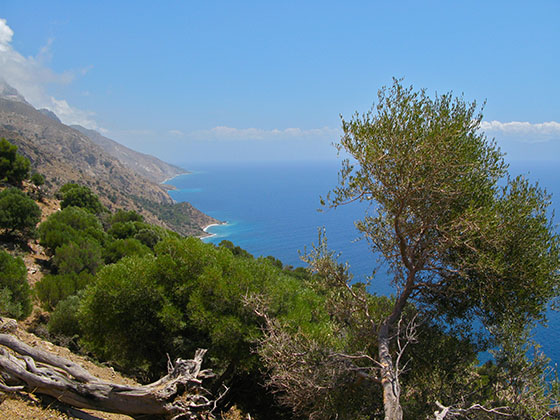 Kos Island south shore, looking towards the East